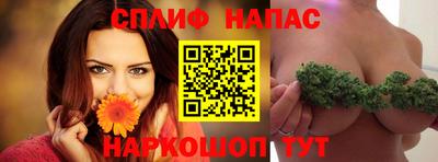 дживик Тавда