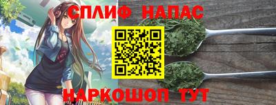 дживик Тавда