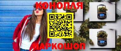 ПСИЛОЦИБИНОВЫЕ ГРИБЫ Сочи