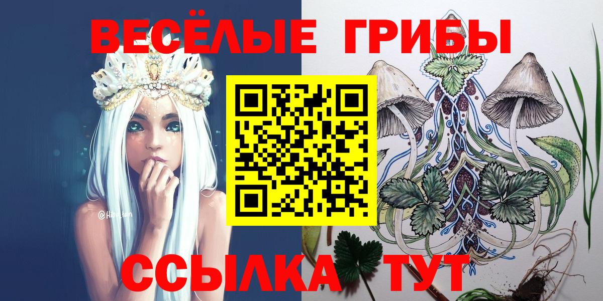 Грязи  Галлюциногенные грибы мицелий  Вход с VPN 