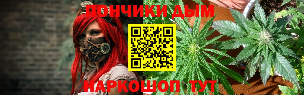 Грязи  Конопля планчик  Вход с VPN  Марихуана гибрид  Конопля Bruce Banner  Бошки марихуана конопля 